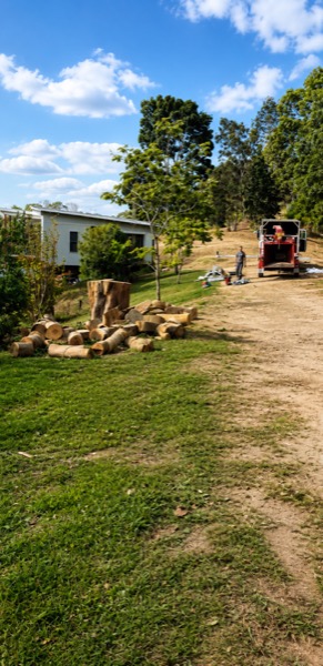 A cleared block with cut logs stacked on the grass