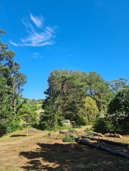A paddock opened up after tree clearing