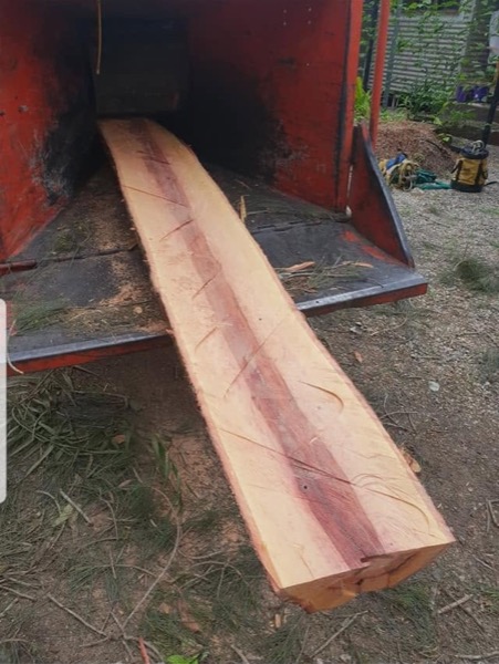 Fresh-cut timber and chip in the back of the truck