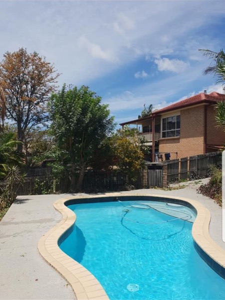 A pool yard before the overhanging trees were cut back
