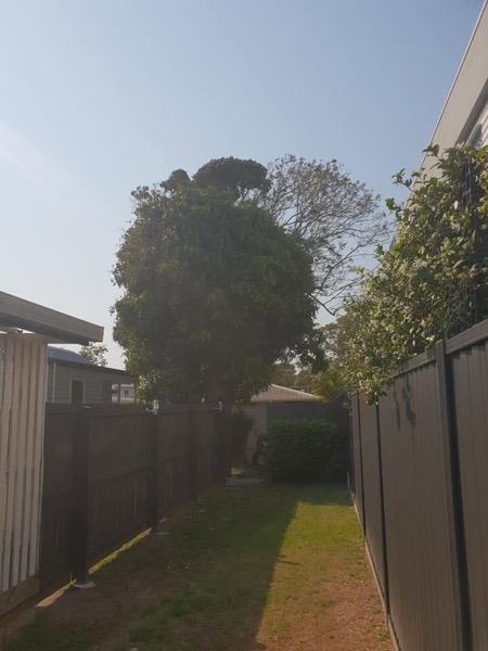 A side yard trimmed clean along the fence line