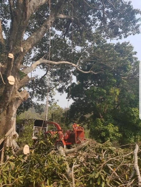 The chipper working through a yard of fallen branches