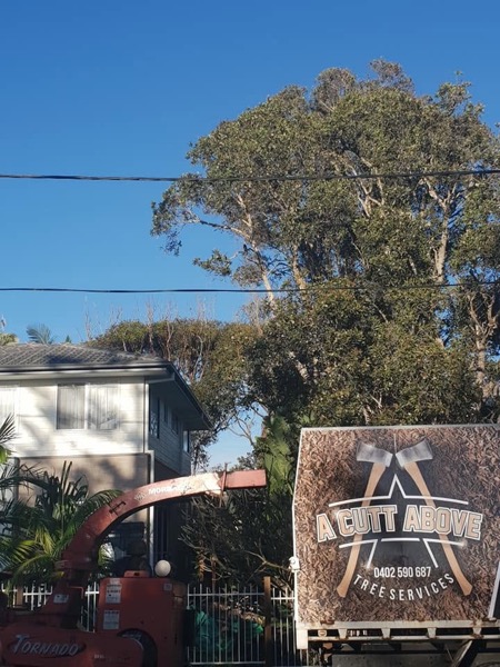 The branded truck and chipper set up outside a home