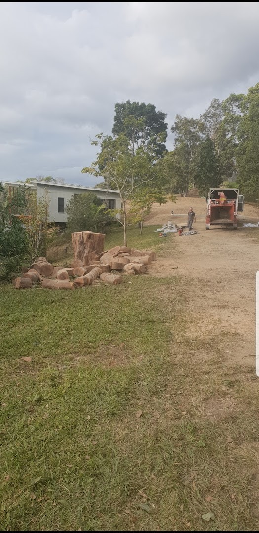 A block opened up after clearing, with cut logs stacked on the grass