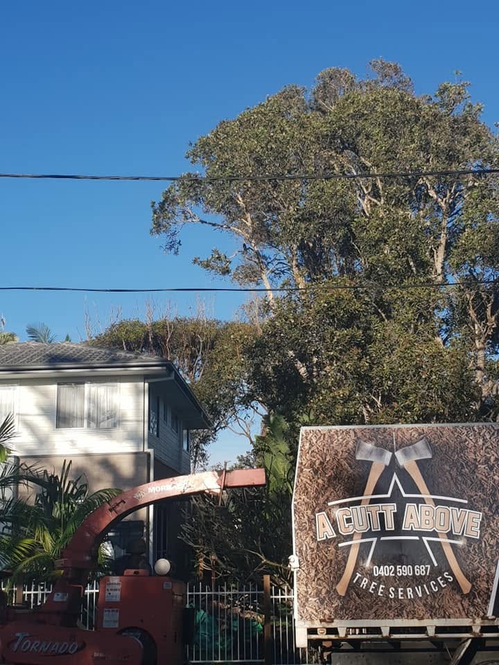 The branded truck and chipper set up outside a home